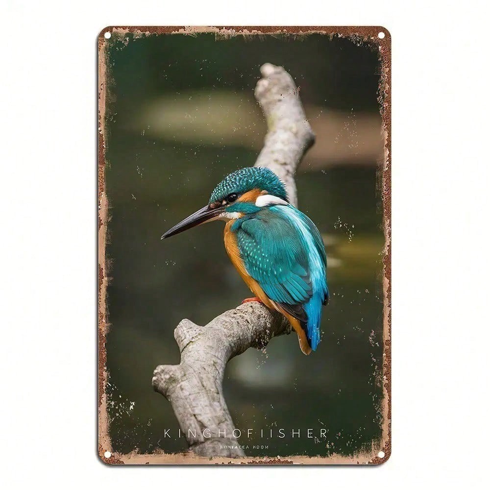 CIFbuy 1pc Kingfisher Pássaro Lata Arte Da Parede Sinal De Metal Rústico 12x8 Vintage Birdhouse Ornamento Para Jardim Qu