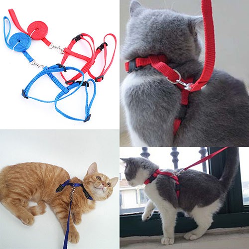 Livecity Adjustable Nylon Cat Puppy Pet Arreios Ajustáveis De Para Animais De Estimação Coleira De Chumbo Leash Traction Safety Rope