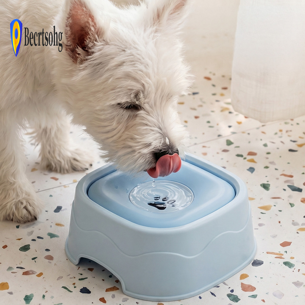 Splash Free Pet Water Dish Bowl with Floating Disk – No Spill Splash-proof Slow Feeder for Dogs Cats Ideal for Southea