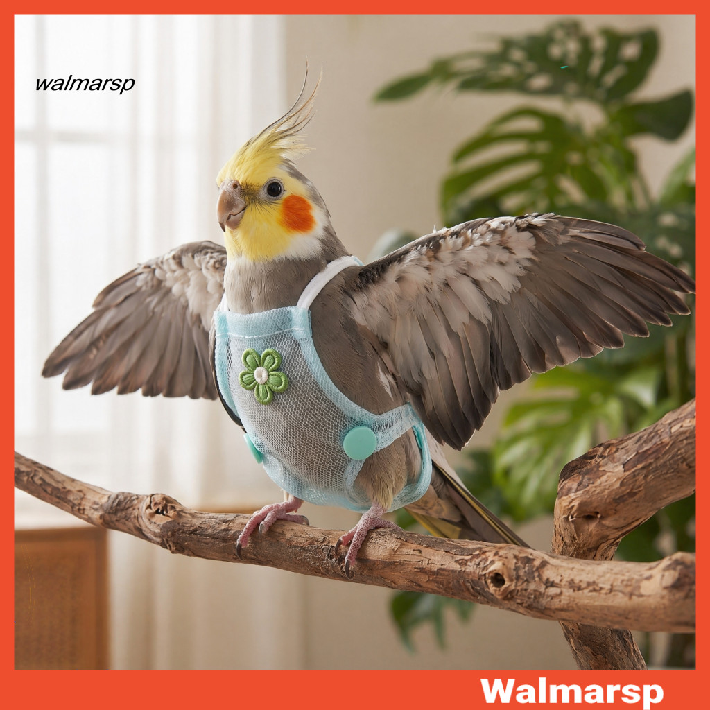 Parrot Flight Harness Diaper with Leash – Reusable Outdoor Training Nappy Clothes for Parakeet Budgies Conure Comforta
