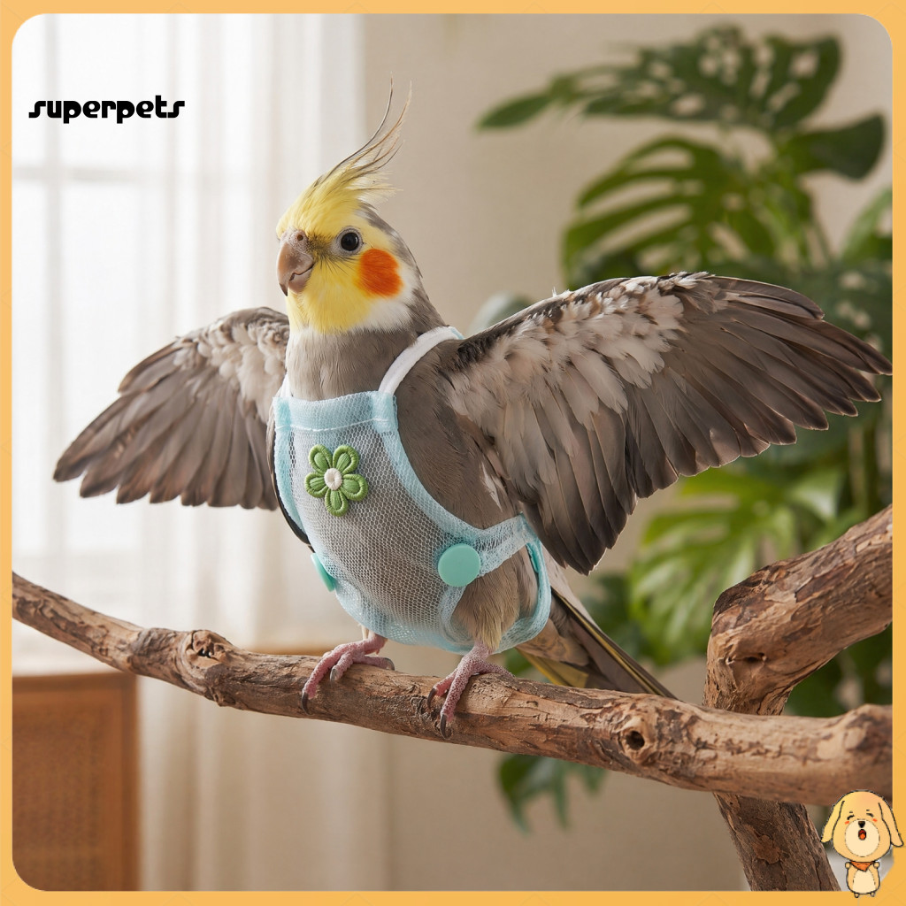 Parrot Flight Harness Diaper with Leash – Reusable Outdoor Training Nappy Clothes for Parakeet Budgies Conure Comforta