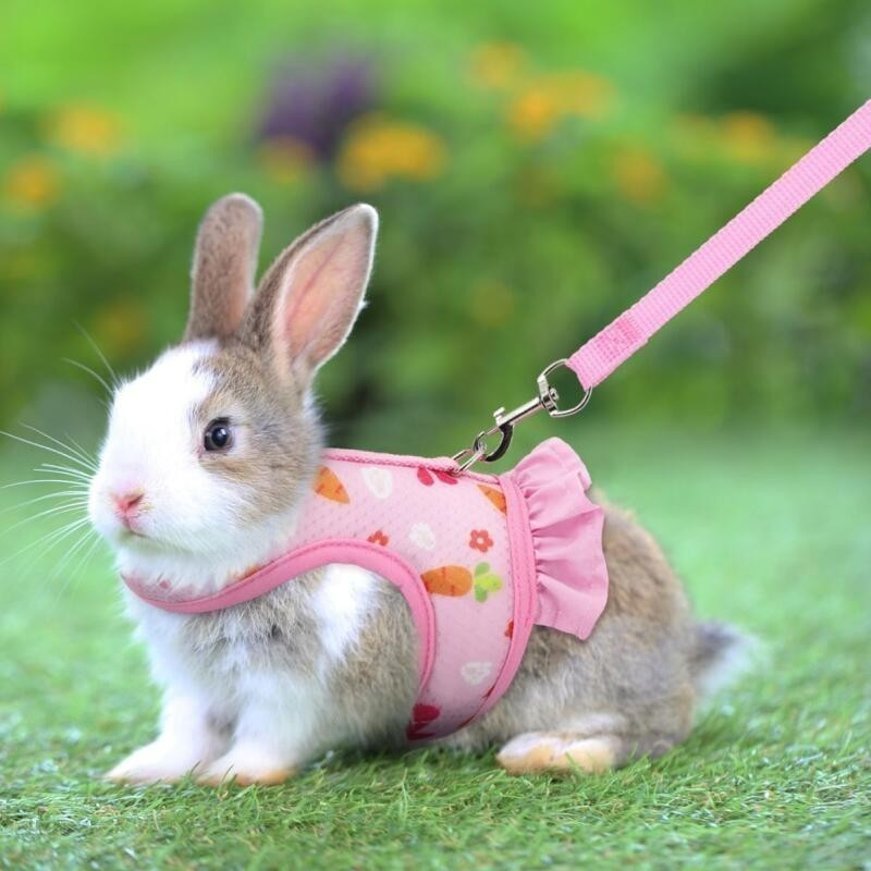 Rabbit Harness with Leash Cute Adjustable Buckle Breathable Mesh Vest Skirt for Bunny Guinea Pig Small Pet Traction Harn