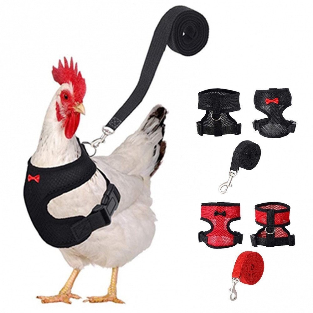 Adjustable Chicken Harnesses with Leash, Comfortable and Breathable Vest for Pet Traction, Chicken Harness