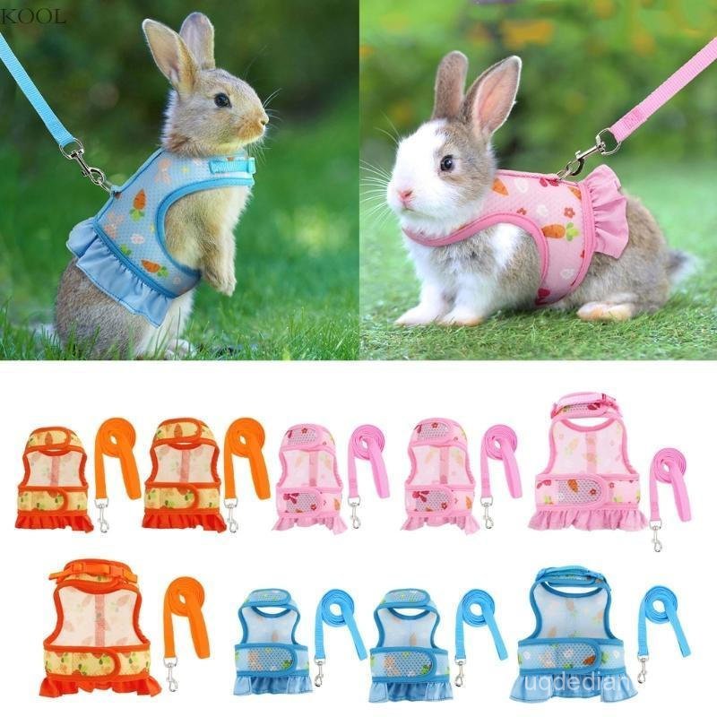 KOOL Rabbits Harness Leash Cobaias Colete Para Pequenos Coelhos Acessórios Passeio