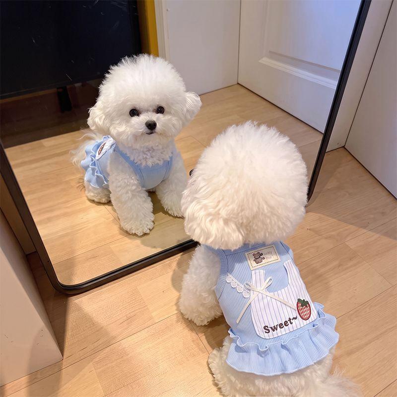 Roupas para cães Camisola fofa Bichon Cat Teddy Vestido de renda para animais de estimação para cães pequenos