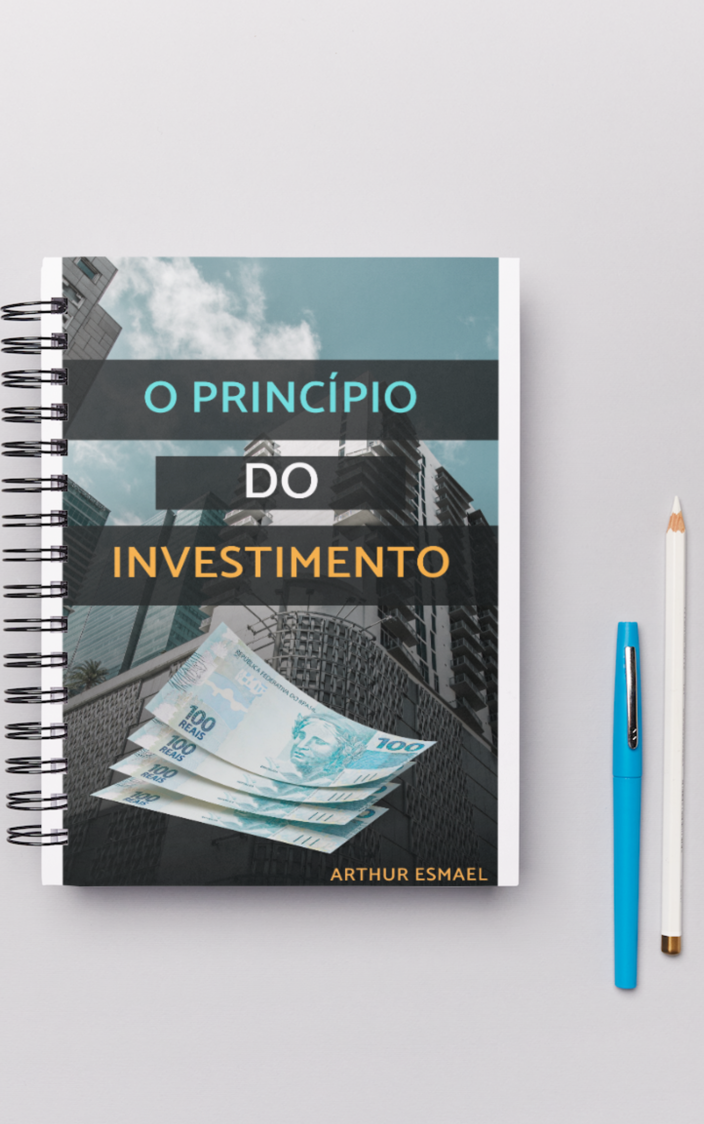 O PRINCÍPIO DO INVESTIMENTO