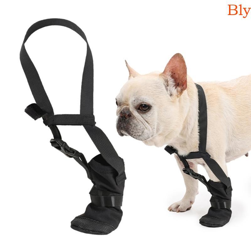 Bly Dog Forepaw Bota À Sapato Recuperação Macio Para Cuidados Feridas