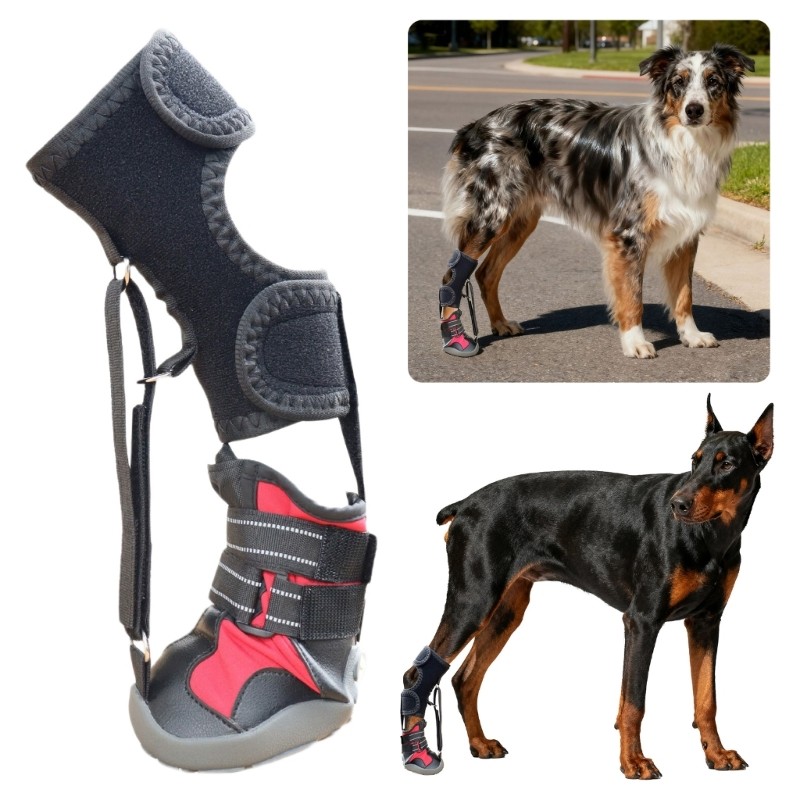 Corrective Dog Shoe Foot Brace with Reel for Dog with Foot Issue