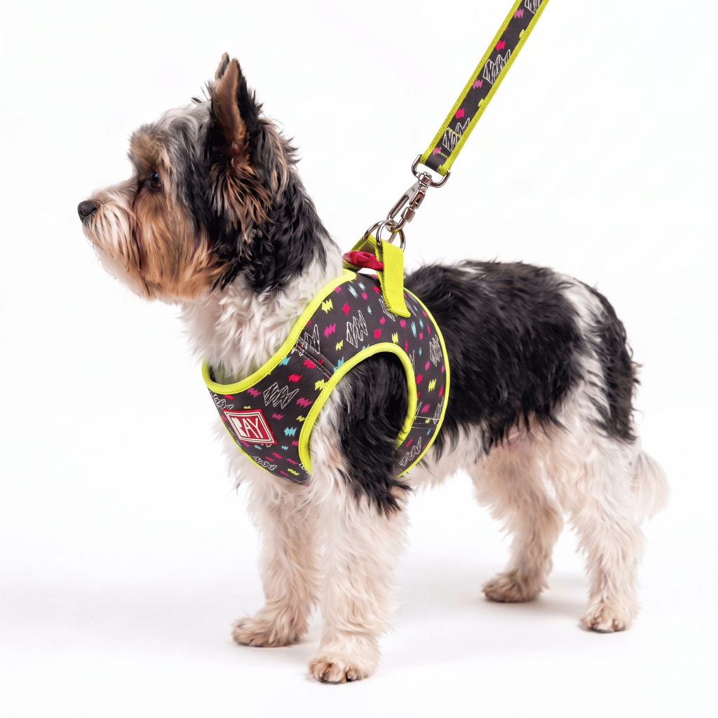 Peitoral Print + Guia - Ray Pet Life - Storm Neon