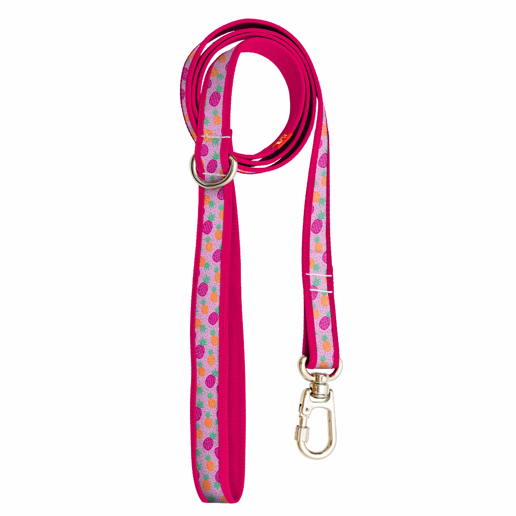Guia Print - Ray Pet Life - Pineapple Pink