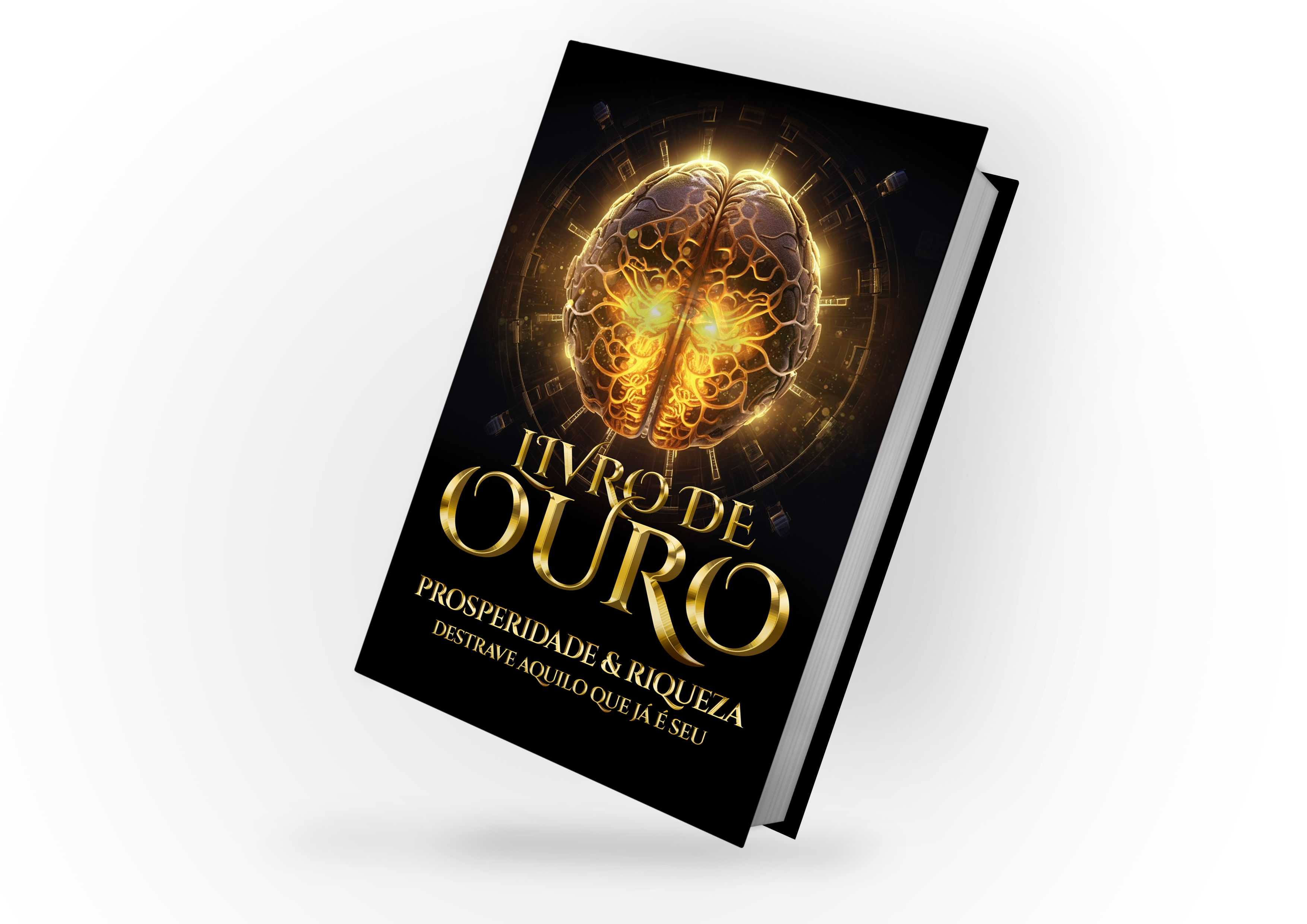 LIVRO DE OURO - Destrave o que ja é seu!