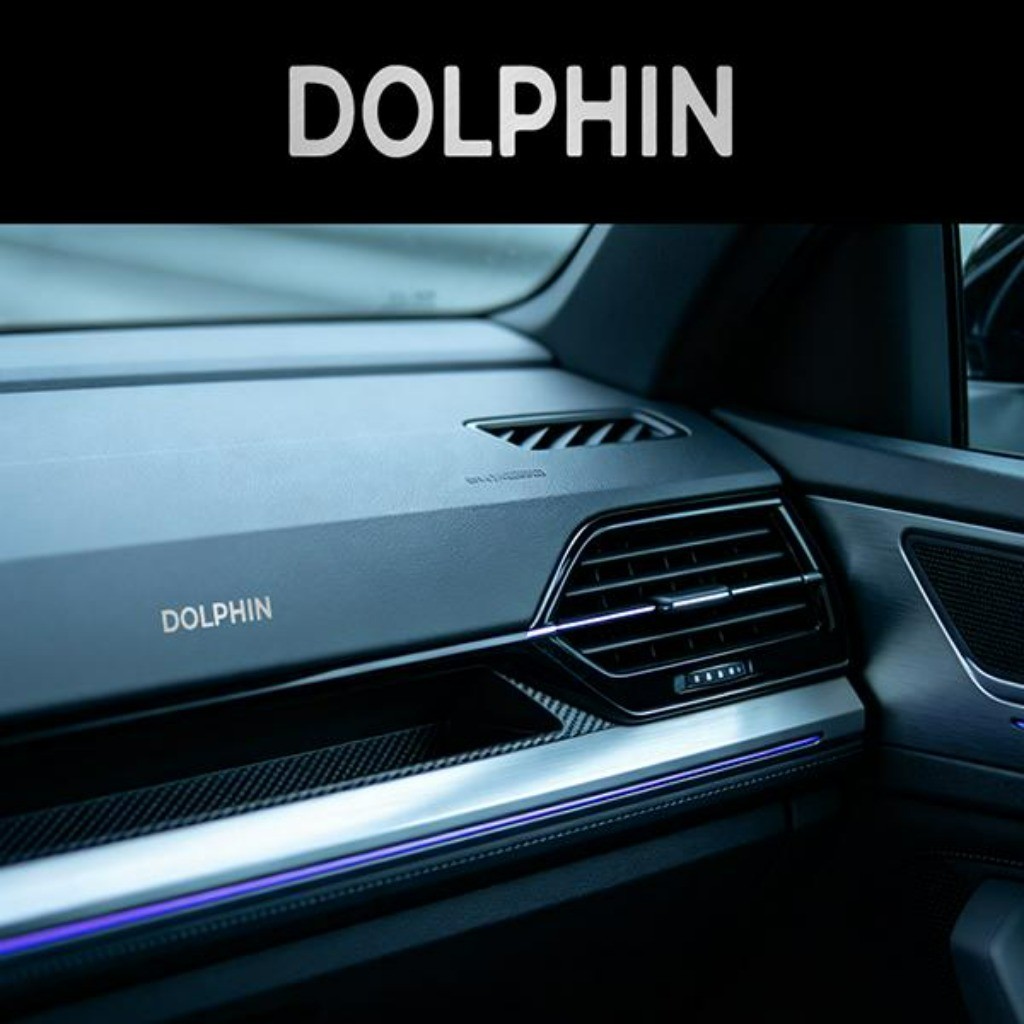 Kit 10 Peças 3D Sticker Metal Emblema Automotivo Personalização For BYD Dolphin EV Mini Plus GS