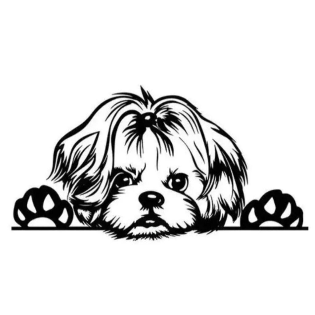 Adesivo Shitzu Shih Tzu Cachorro Espiando Tuning
