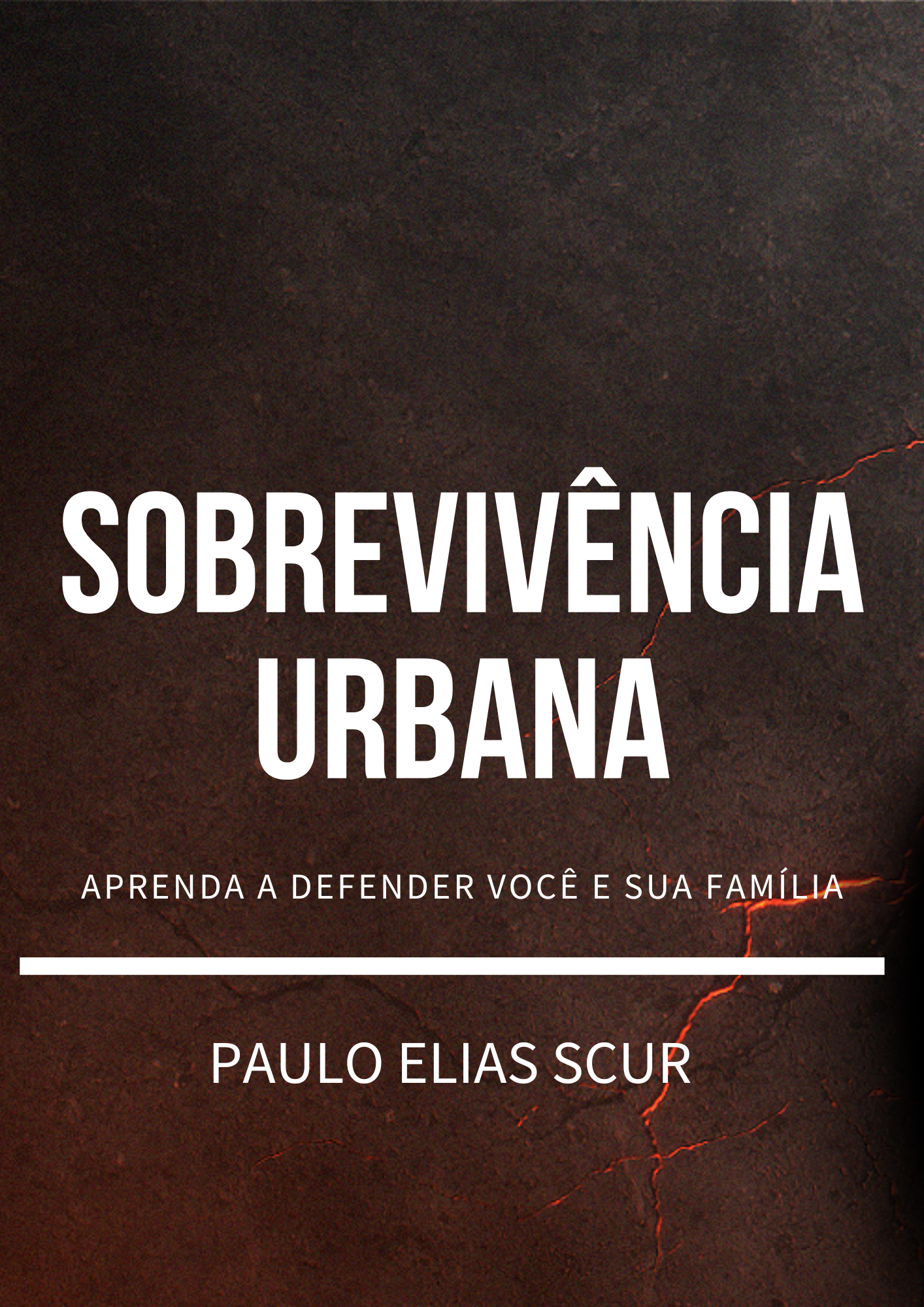 SOBREVIVÊNCIA URBANA