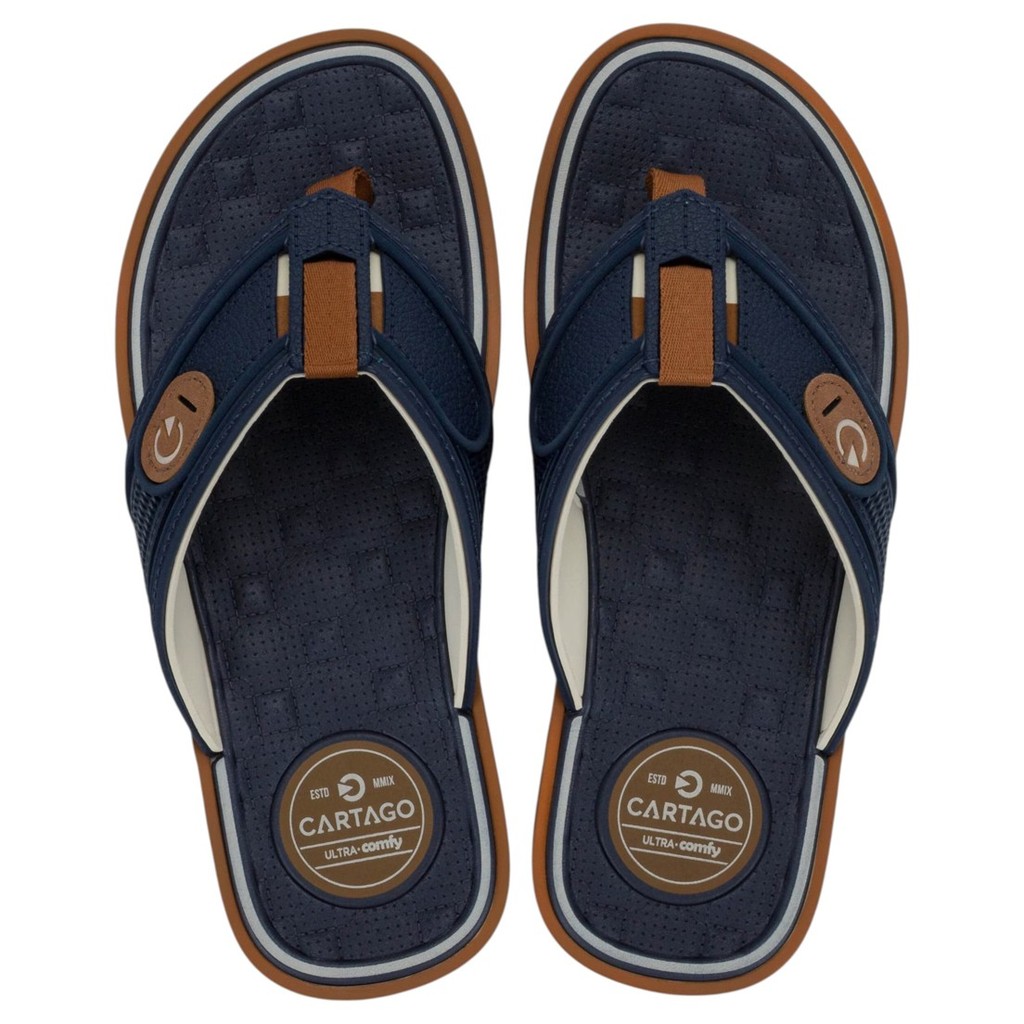 Chinelo de Dedo Masculino Conforto Leve Lyon IV Cartago