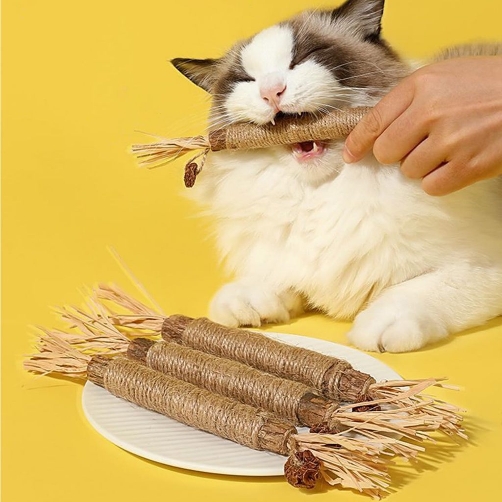 Natural Cat Chew Stick – Teeth Cleaning and Fun