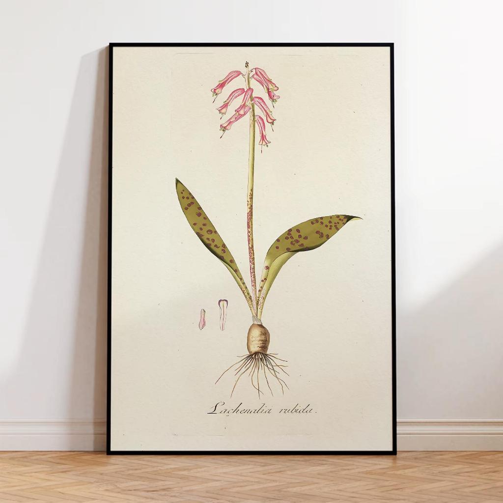 Quadro decorativo Estilo científico com charme retrô (1 peça)
