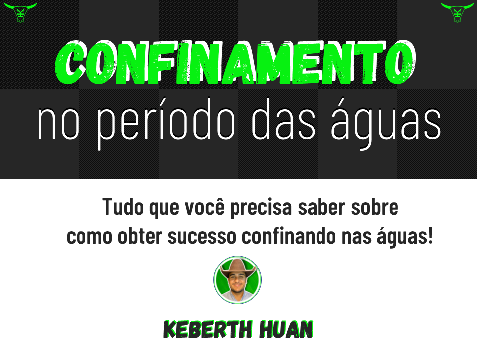 Confinamento de Bovinos no período das águas