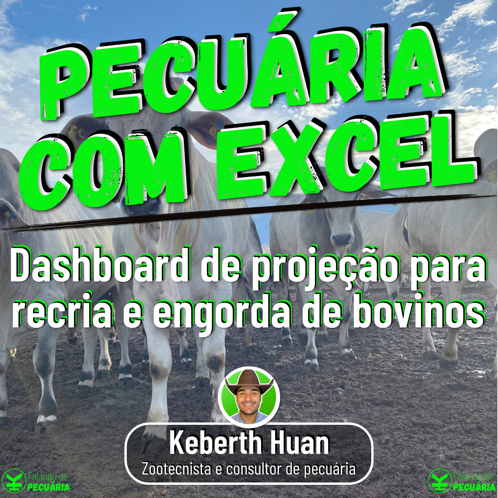 Pecuária com Excel 1.0 - Planilha de projeção para recria e engorda de bovinos!