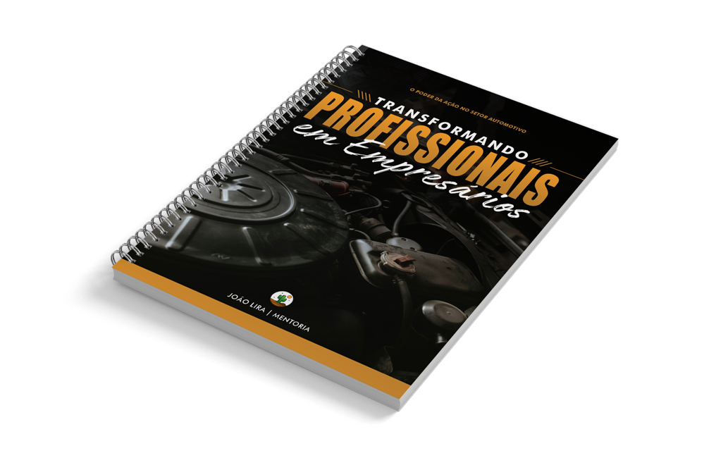 LIVRO - TRANSFORMANDO PROFISSIONAIS EM EMPRESÁRIOS