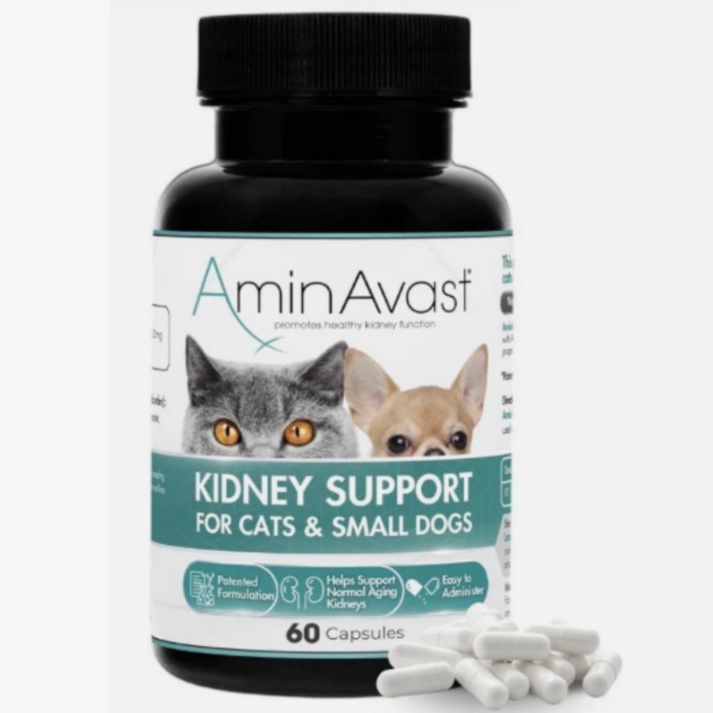 SUPLEMENTO RENAL AMINAVAST KIDNEY SUPPORT PARA CAES E GATOS 60 CAPSULAS