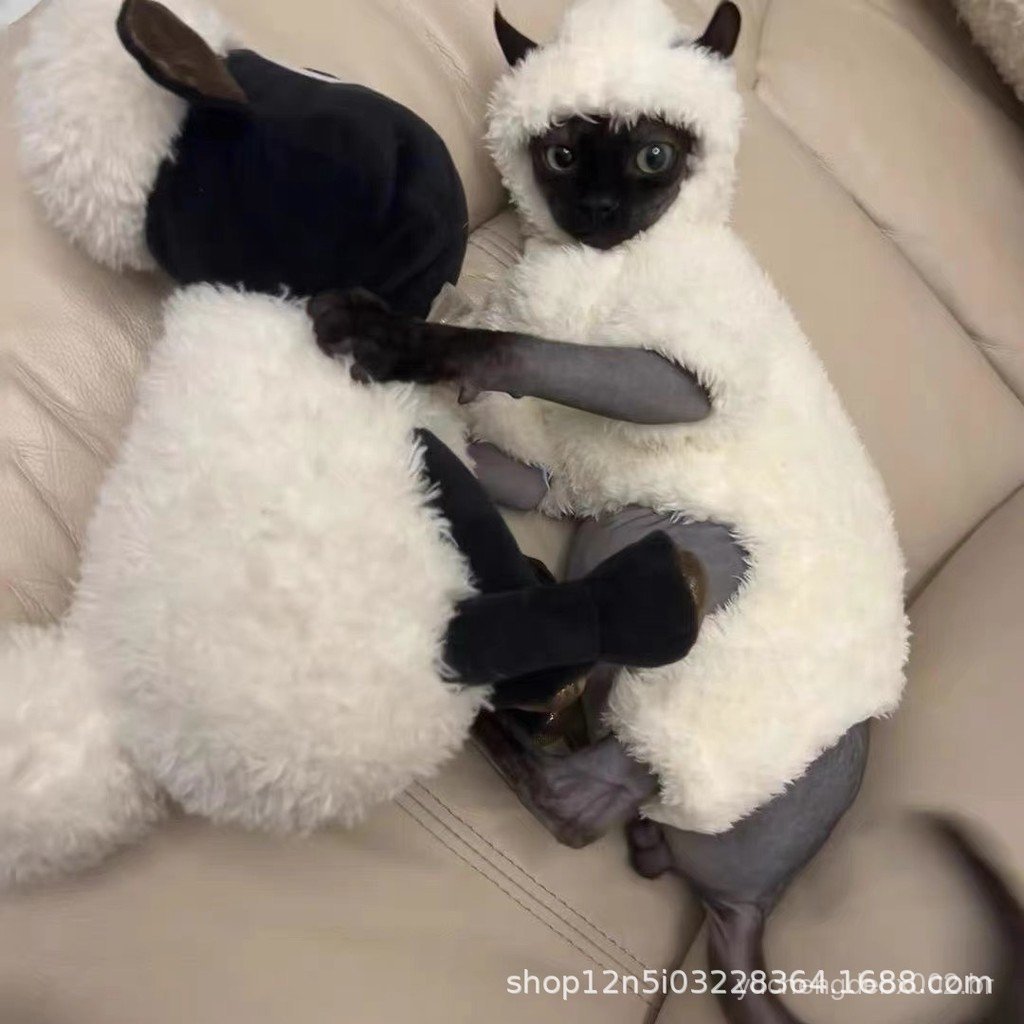 Roupa quente e espessa com forro de lã para gatos sem pelos, adequada para gatos Sphynx e Devon, feita de casaco de algo