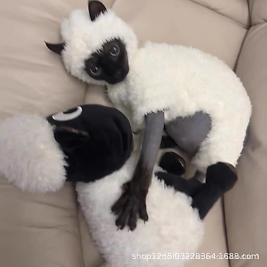 Roupa quente e espessa com forro de lã para gatos sem pelos, adequada para gatos Sphynx e Devon, feita de algodão de lã