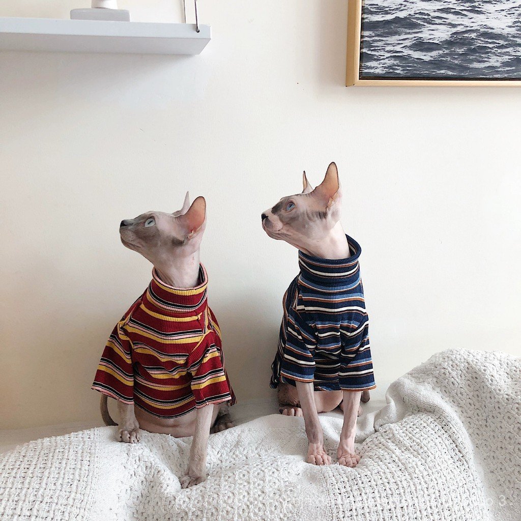 Roupas para gatos sem pelos, Sphynx e Devon, vestuário para ambientes com ar condicionado, gola alta, listrada, de manga