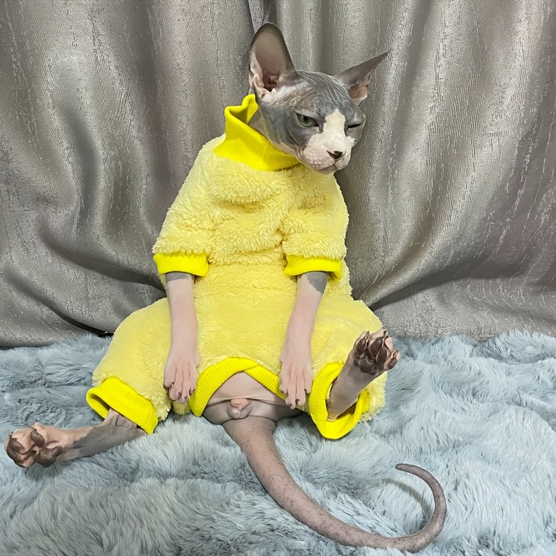 Roupas Quentes de Outono/Inverno para Gatos Sem Pelo, Roupas de Quatro Patas para Gatos Sphynx e Devon Rex que Protegem