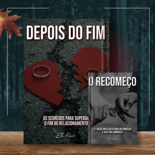 E-BOOK DEPOIS FIM