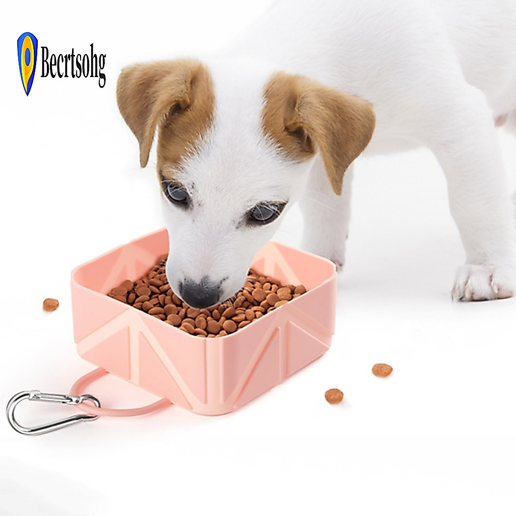 Folding Pet Bowl Rinseable Water Portable Silicone Dog 500ml with Carabiner – Anti-slip Travel Feeder Multi-purpose fo