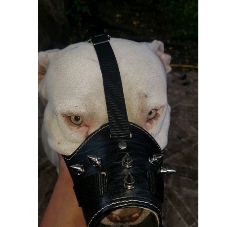 Focinheira para pitbull de Couro Resistente Rottwellier Pastor Alemão Dog