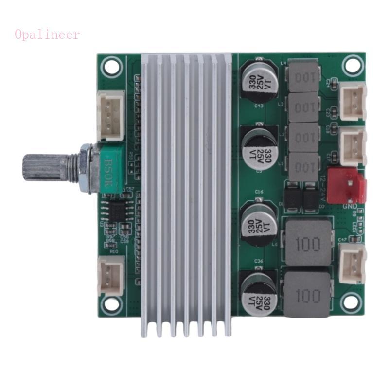 Opalineer Professional TPA3116D2 Placa Amplificadora Digital 2 Canais Saída Graves Puros E Design Baixo Ruí