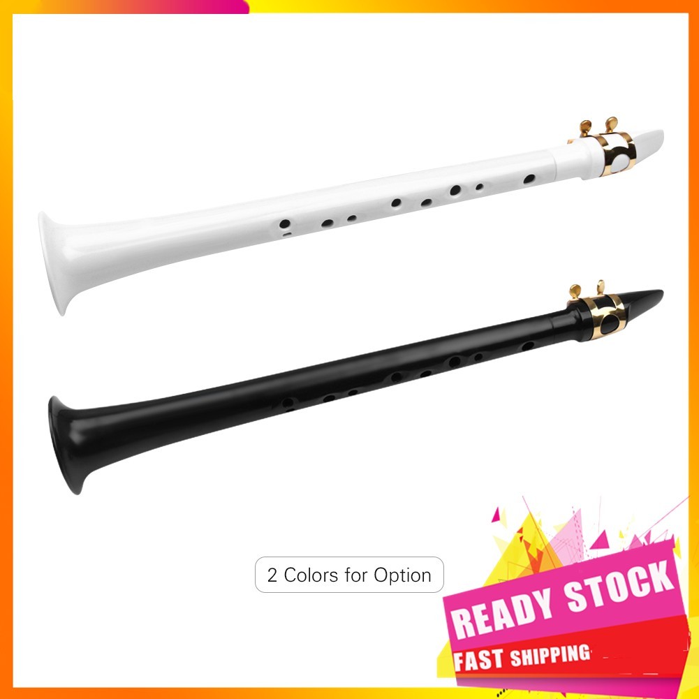 Gfgfgfgg White Pocket Sax Portable Mini Saxophone Key of C Little Plastic with Carrying Bag Woodwind Instrument