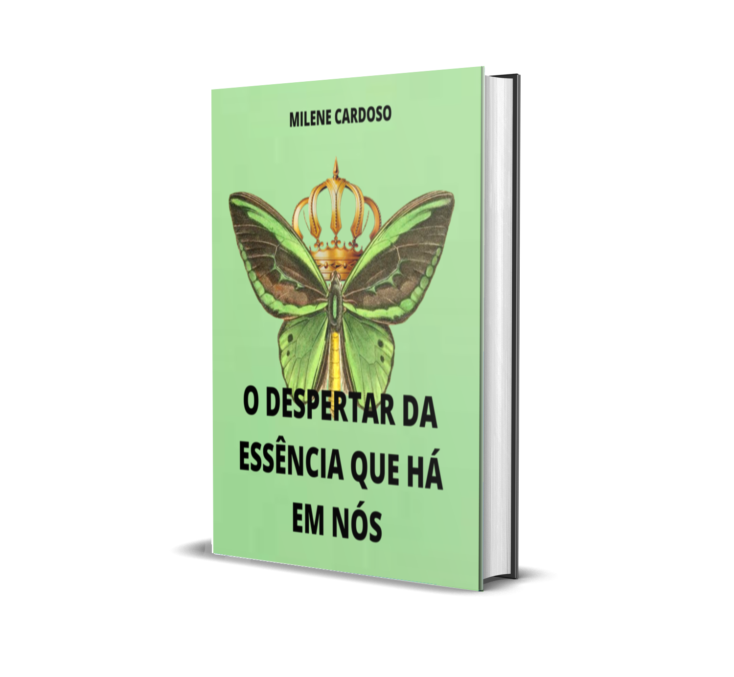 O despertar da essência que há em nós