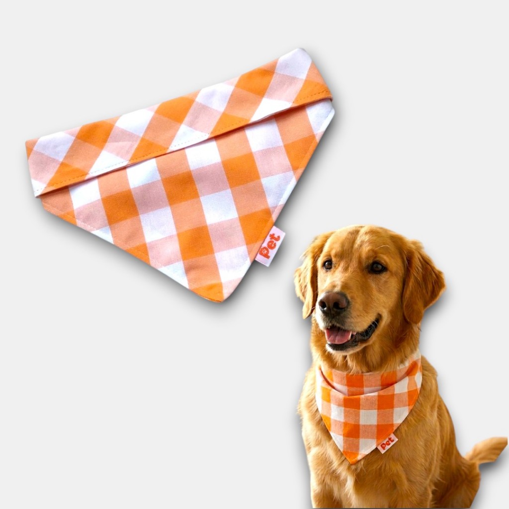 Bandana para Cachorro e Gato Xadrez de Festa junina - Do Xpp até Gg - LANÇAMENTO