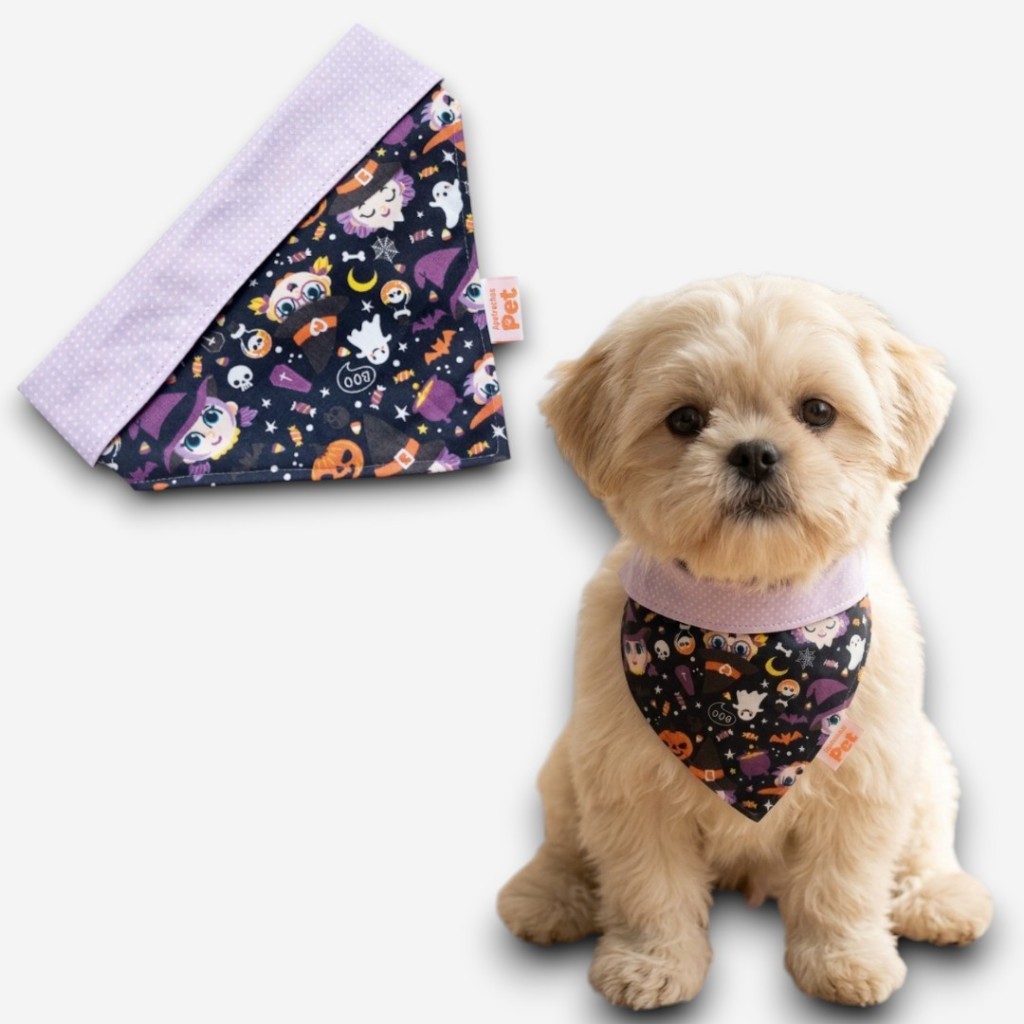 Bandana para pet estampa Bruxinhas - Coleção Halloween 2026 !