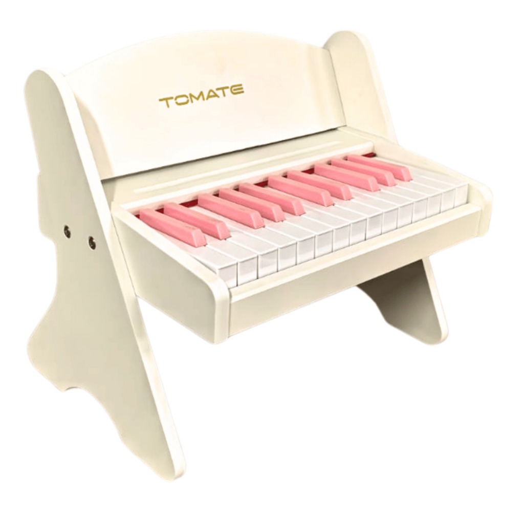 Piano Teclado Infantil 25 Teclas Musical Educativo Digital