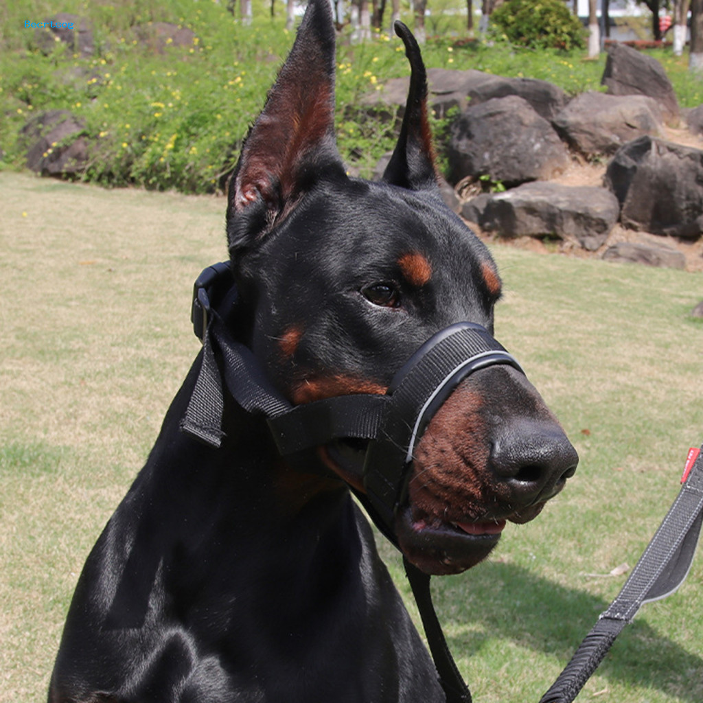 Snout Control Device for Dogs Dog Head Halter Adjustable No-pull Collar with Padded Nose Band Reflective Training Muzzle