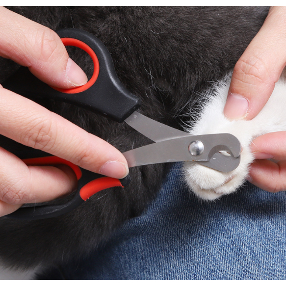 3 Pcs Maquina Para Tosar Tesoura De Unhas Inox Profissional  Para Cachorros Pets Promoção