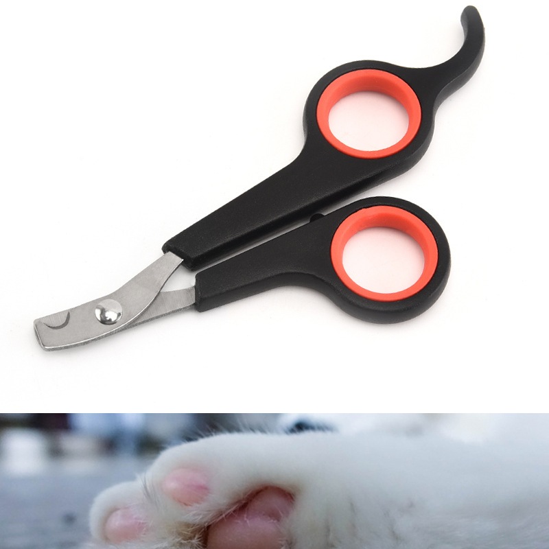 1 Maquina Para Tosar/ Tesoura De Unha Pet Profissional Promoção
