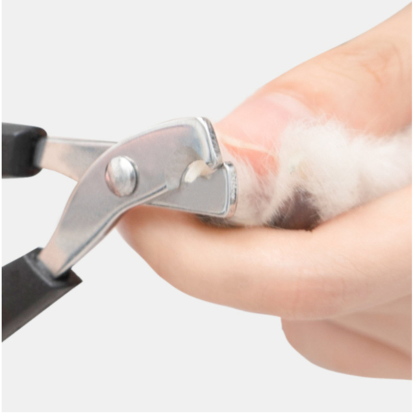2 Maquina Para Tosar/ Tesoura De Unha Pet Profissional Promoção