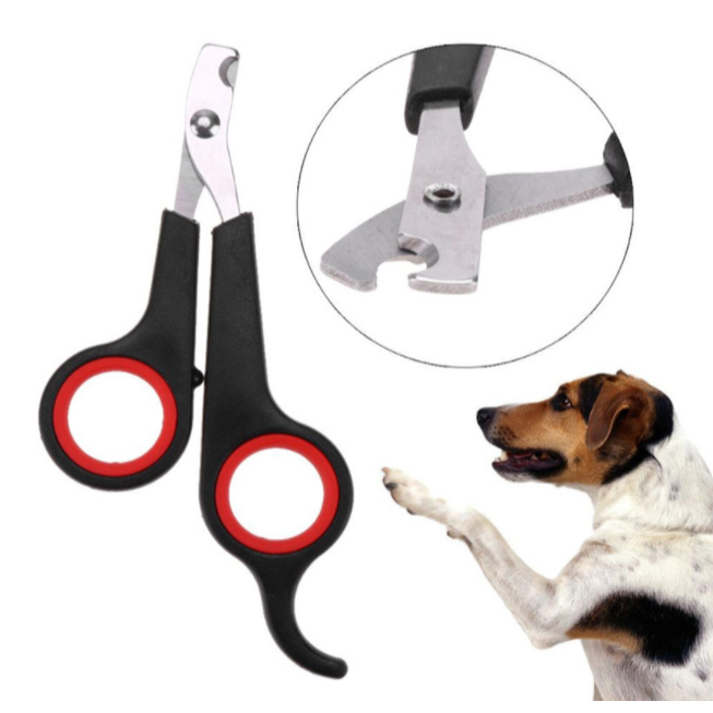 4 Pcs Maquina Para Tosar Tesoura De Unhas Inox Profissional  Para Cachorros Pets