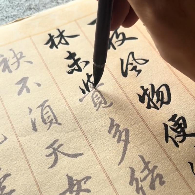 Zhao Mengfu Running Script Example Works Plum Blossom Poesia Red Long Roll Copy Brush Copybook Papel de arroz Pacote de