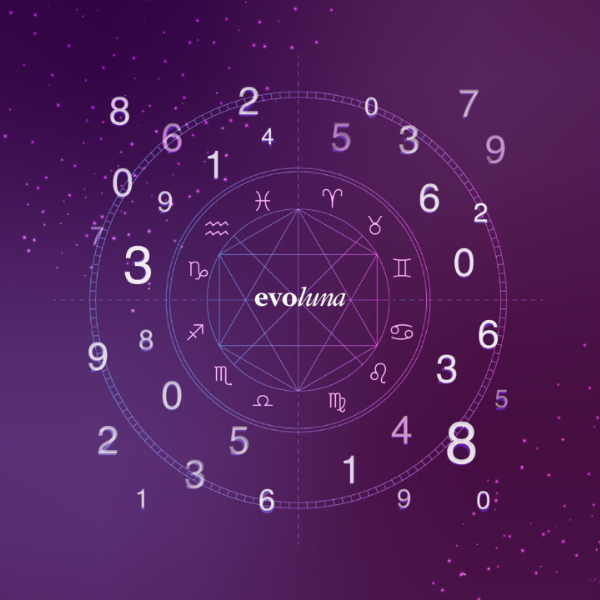Mapa Numerológico - Evoluna