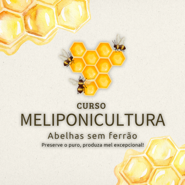 Curso Meliponicultura Abelhas Sem Ferrão