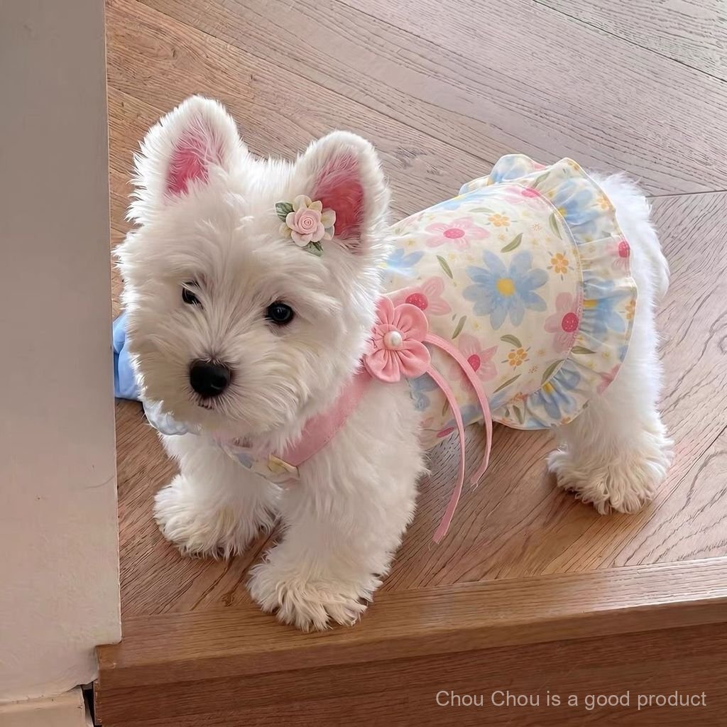 Vestido fino de primavera para cachorros pequenos: West Highland, Teddy, Bichon, Pomerânia