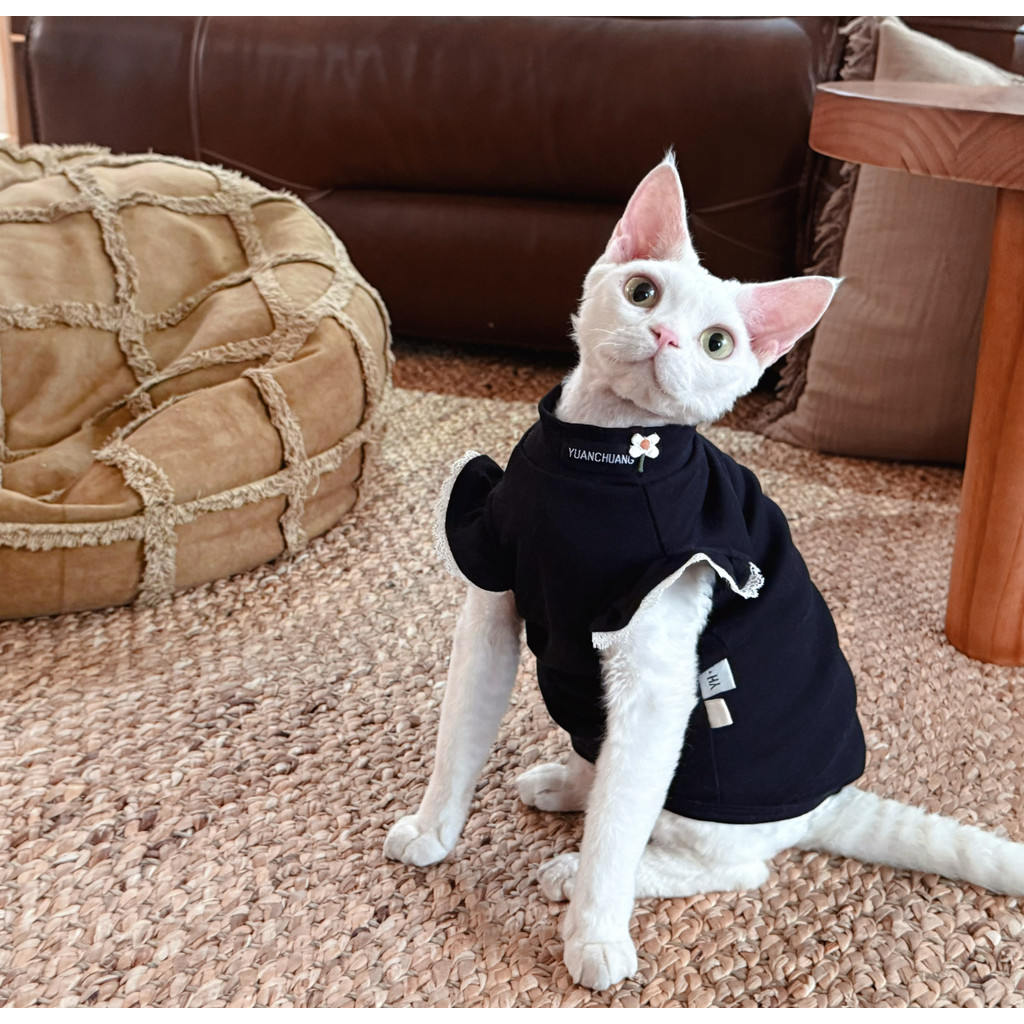 Y · H Han Fan ootd ~ Verão sem mangas estilo fino esfinge roupas de gato sem pêlos Yonghe alemão