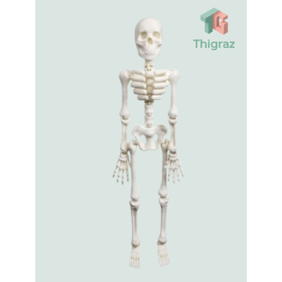 Mini Esqueleto Articulado Realista - Anatomia, RPG e Decoração Geek