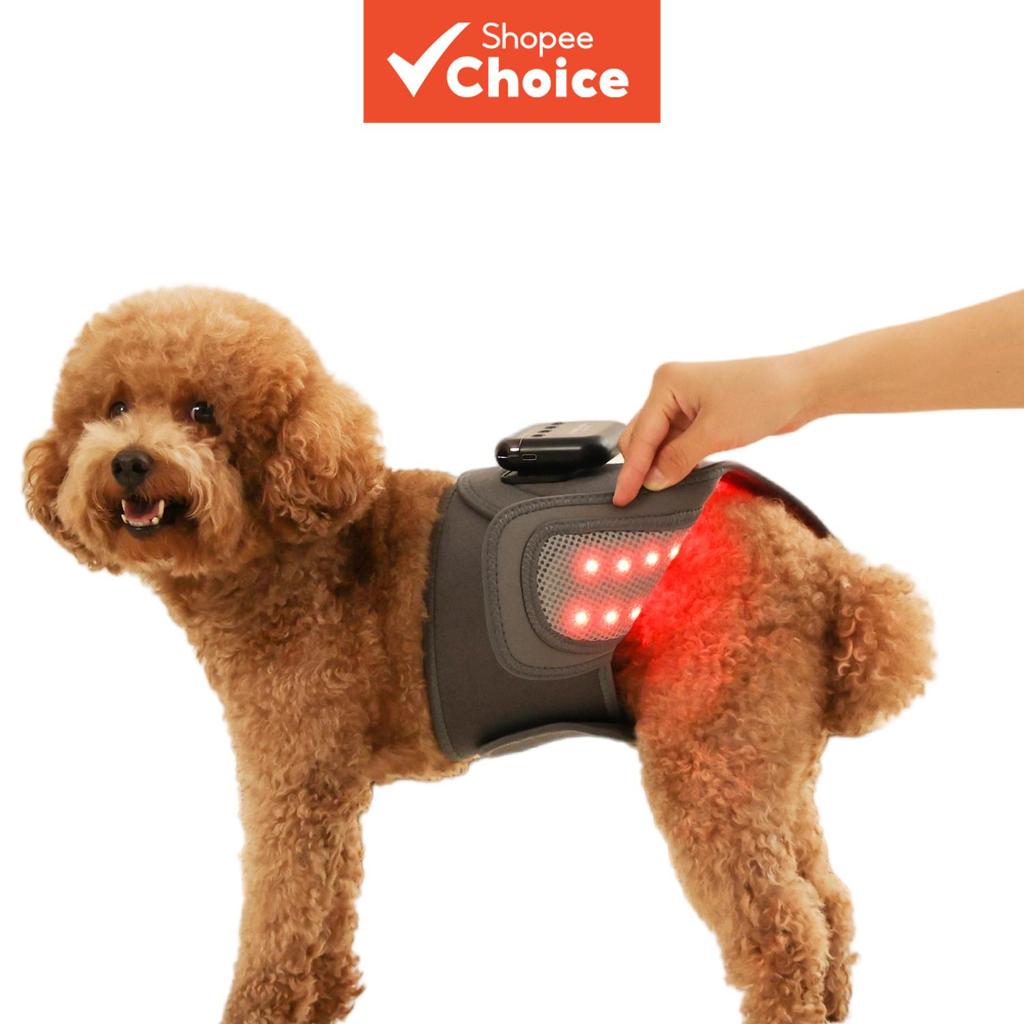 Novo Envoltório de Terapia de Luz para Animais Rechargeable USB com Cinto de LED Infravermelho para Cães e Gatos,